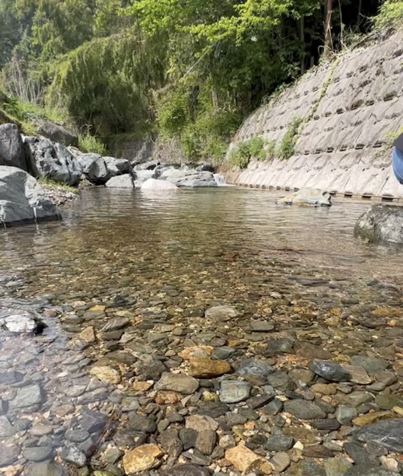 湯来町の川