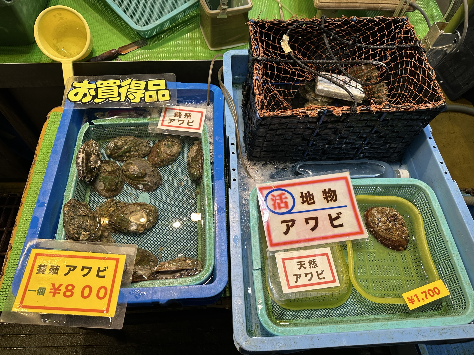 唐戸市場に並ぶアワビ
