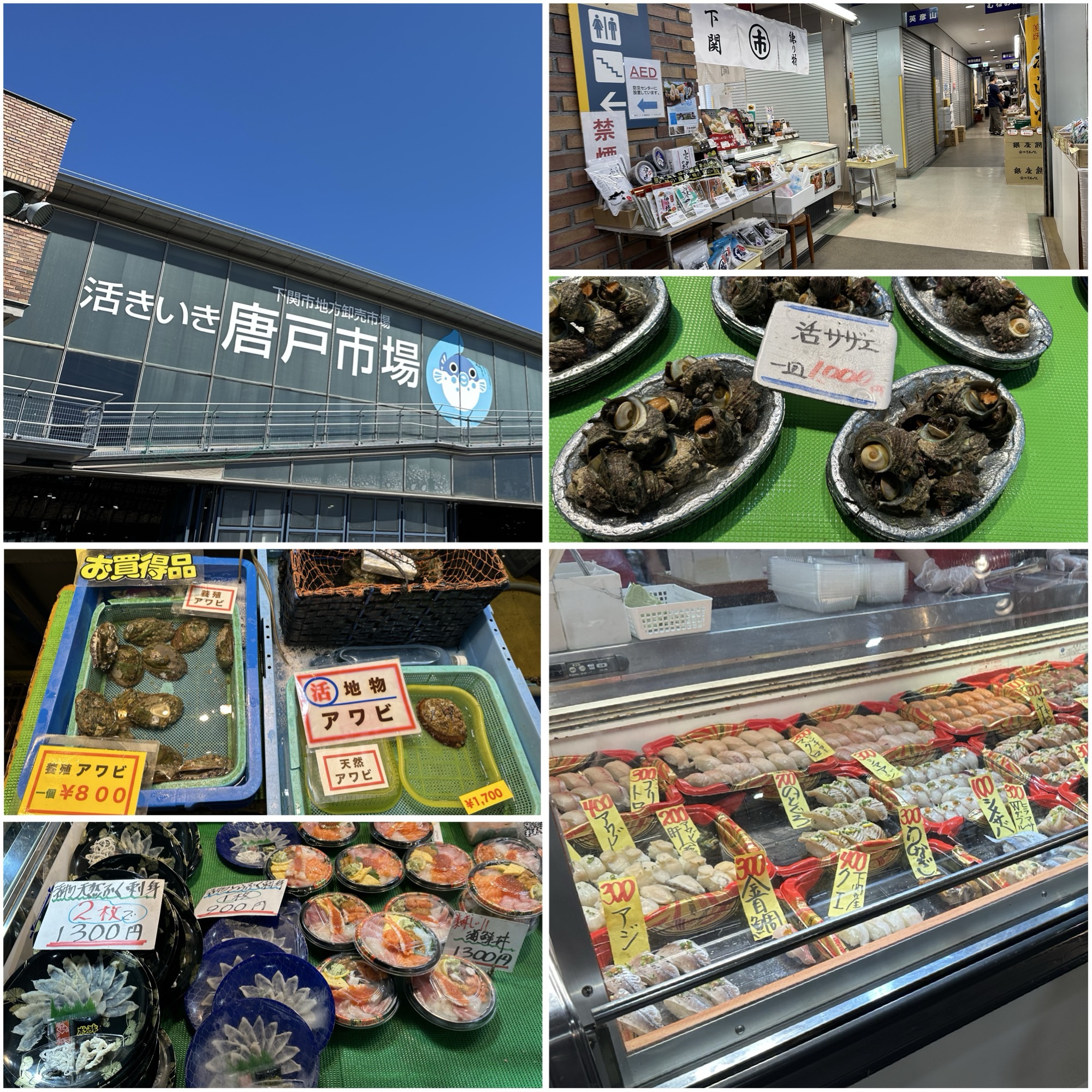 下関の唐戸市場で海鮮を楽しむ