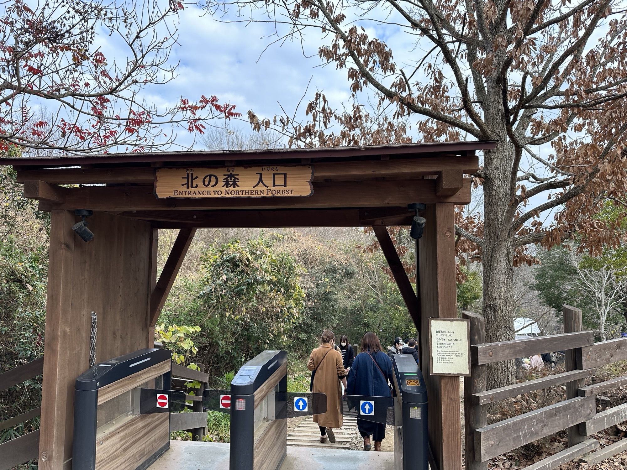ドラゴンクエスト アイランドの北の森入口