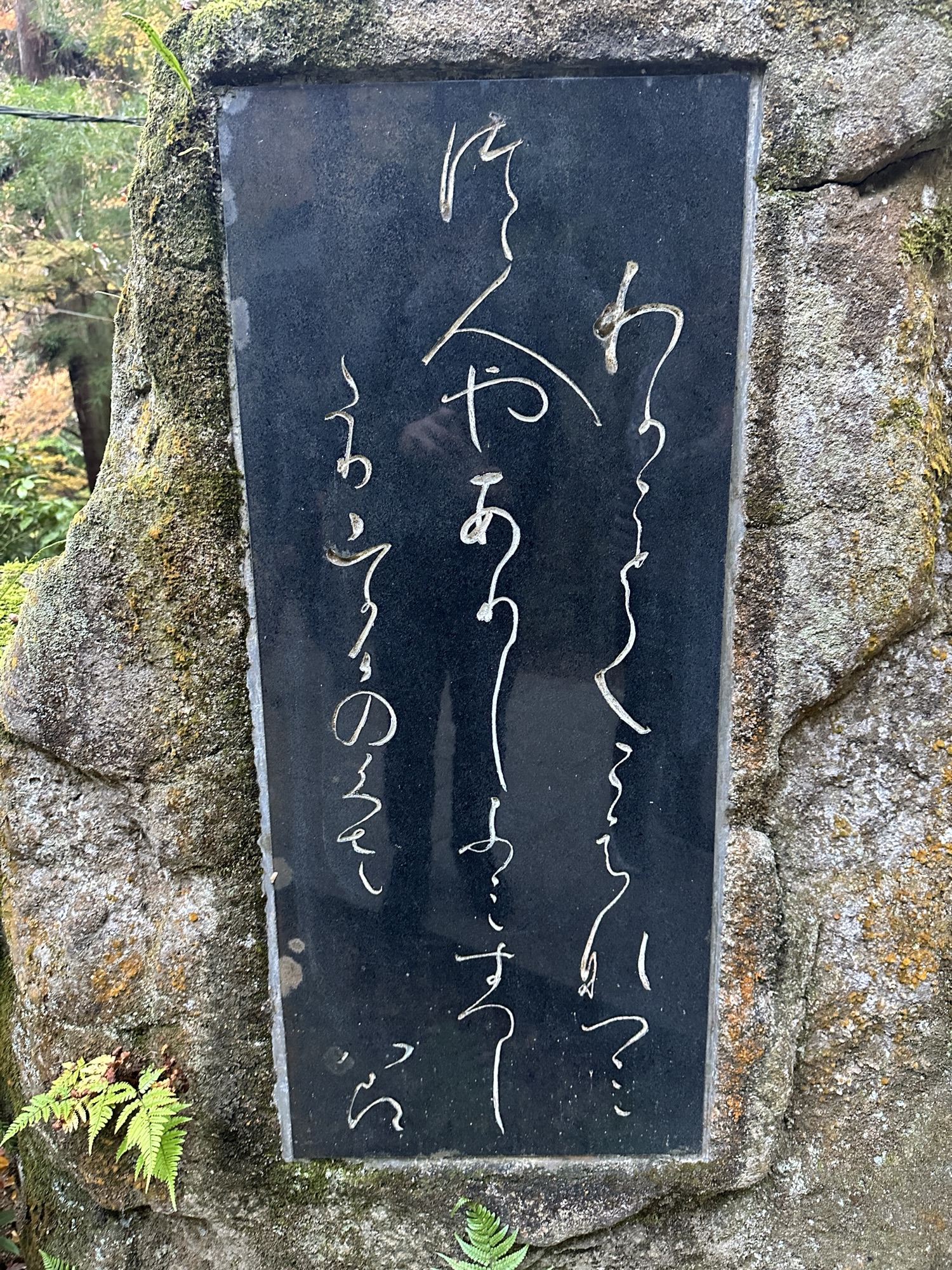 秋の三滝寺の石段と紅葉