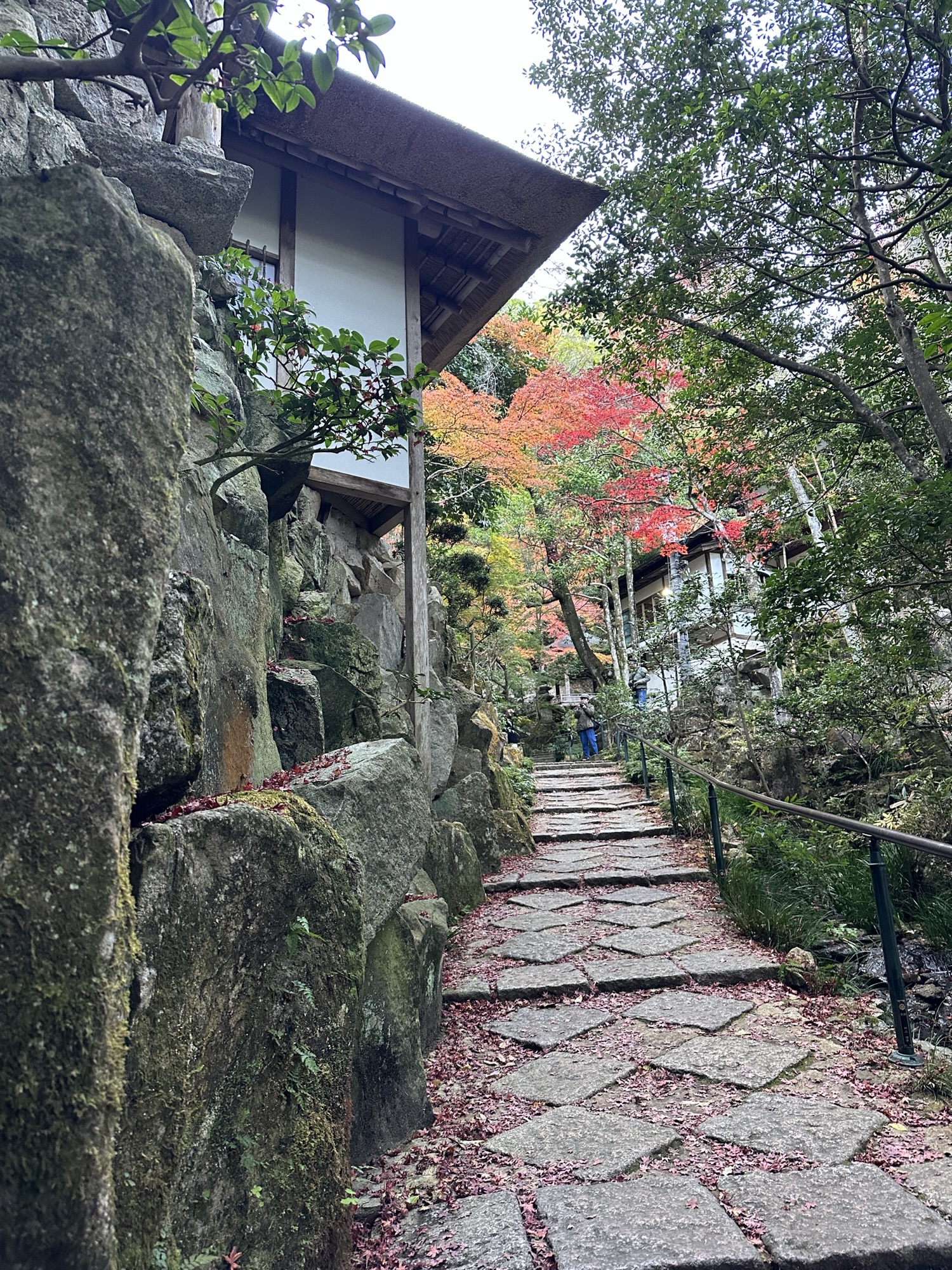 三滝寺の境内に続く石段と色づいた木々