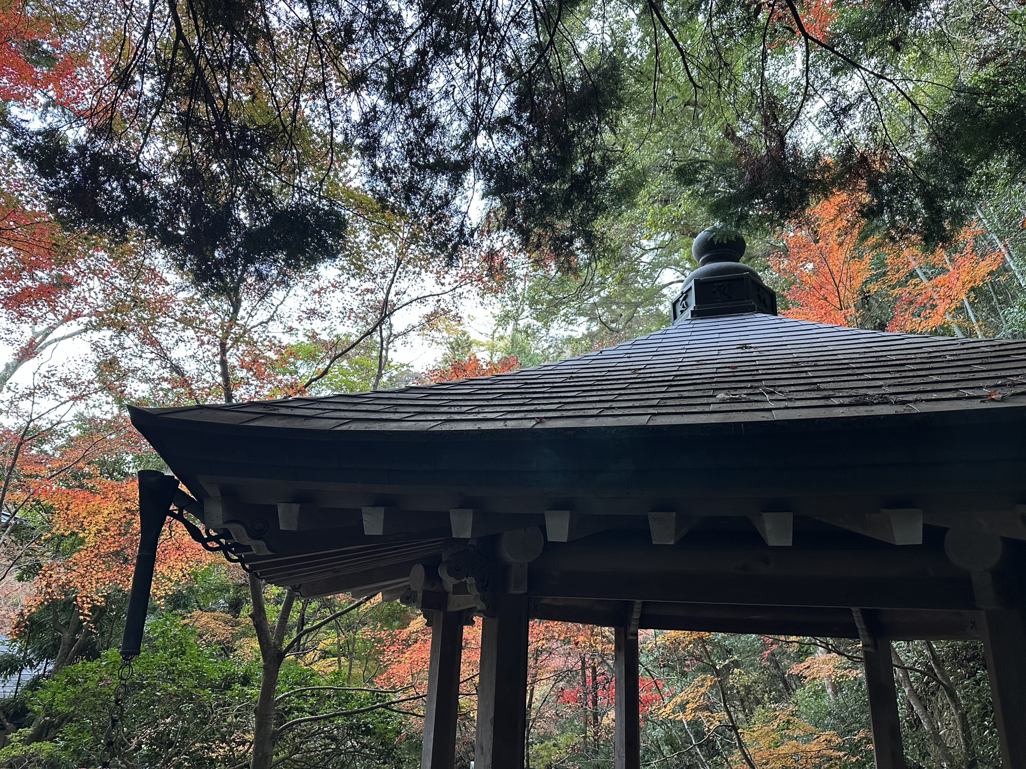 紅葉に囲まれた広島の三滝寺(三瀧寺)の多宝塔