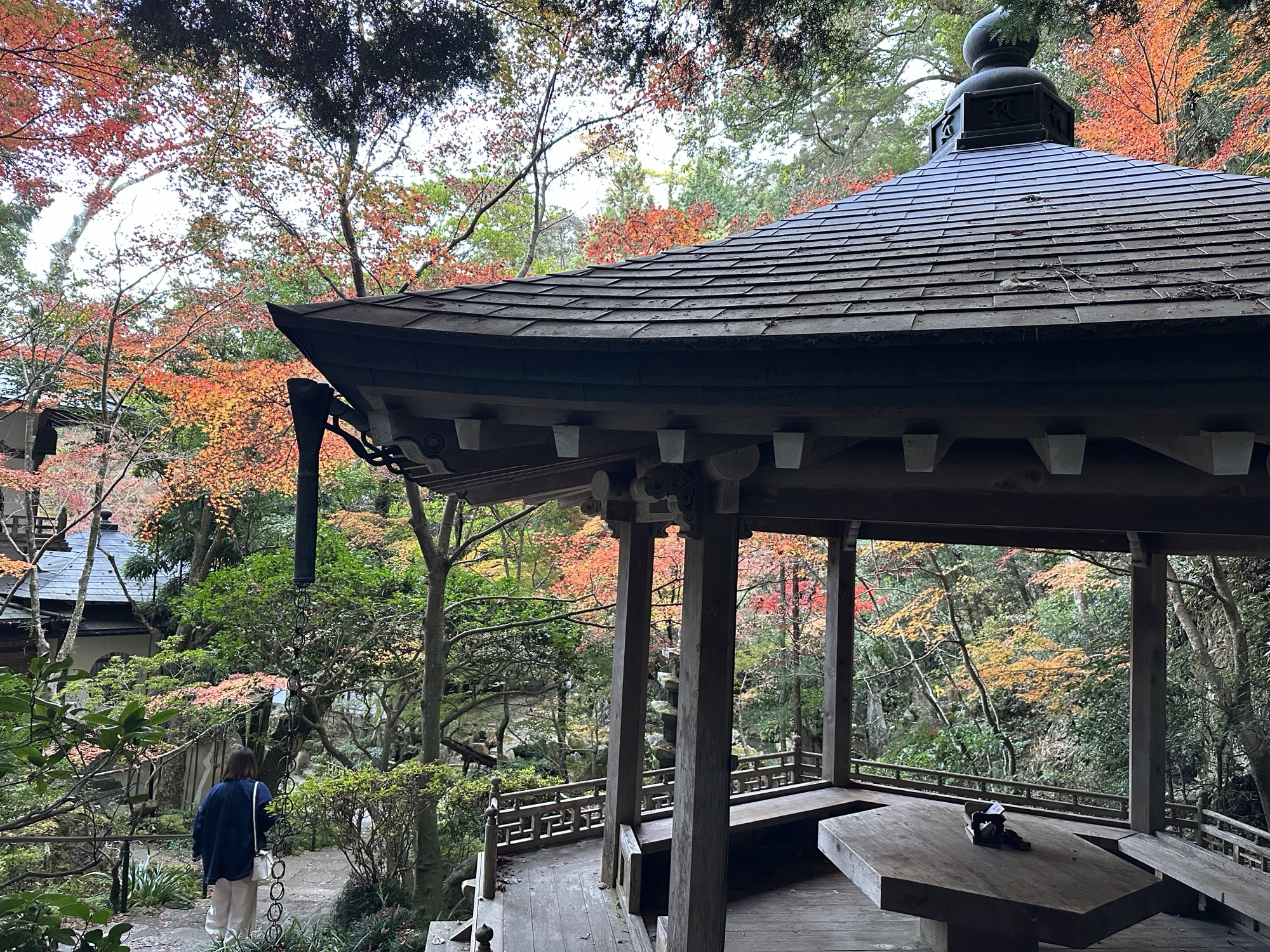 三滝寺の多宝塔を囲む黄色と赤の紅葉