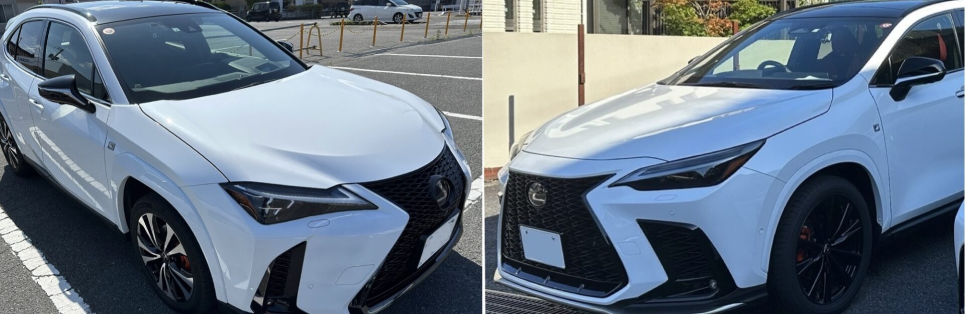 レクサスUX250h F SPORT