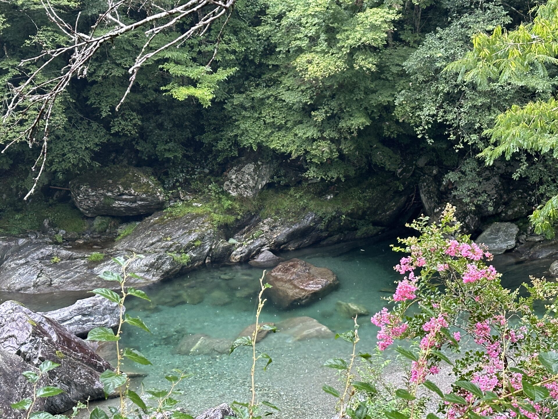 仁淀川・水晶淵周辺の景色