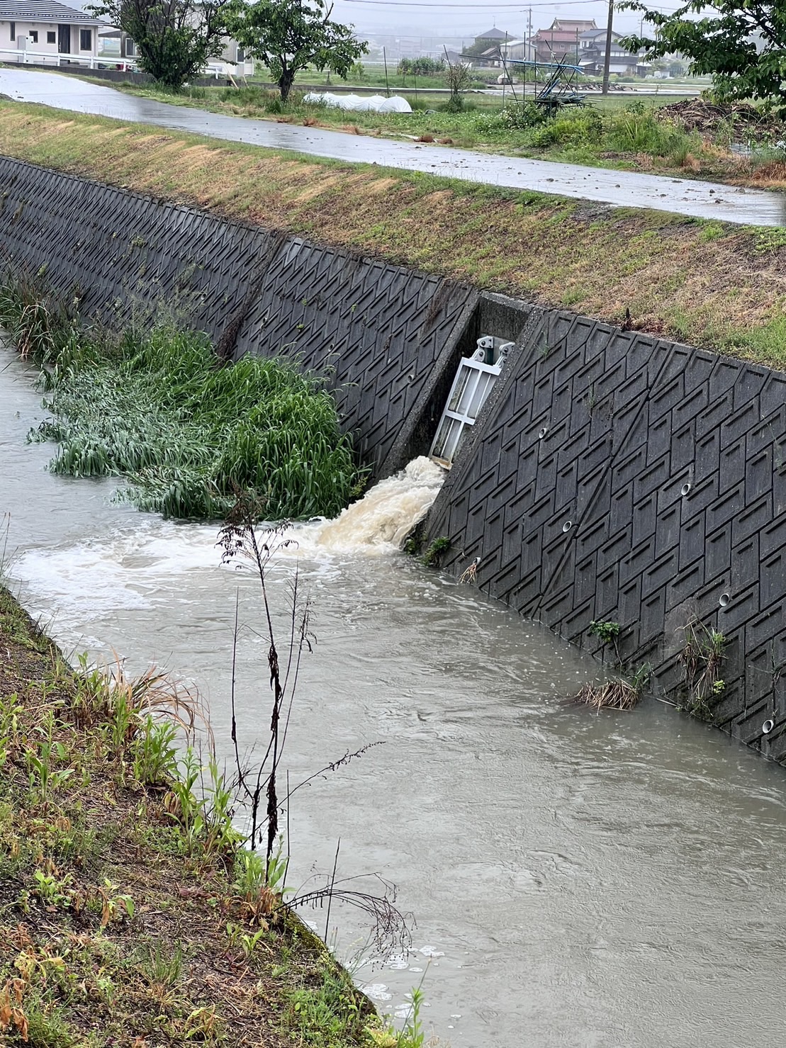雨上がりに水が流れ込む用水路