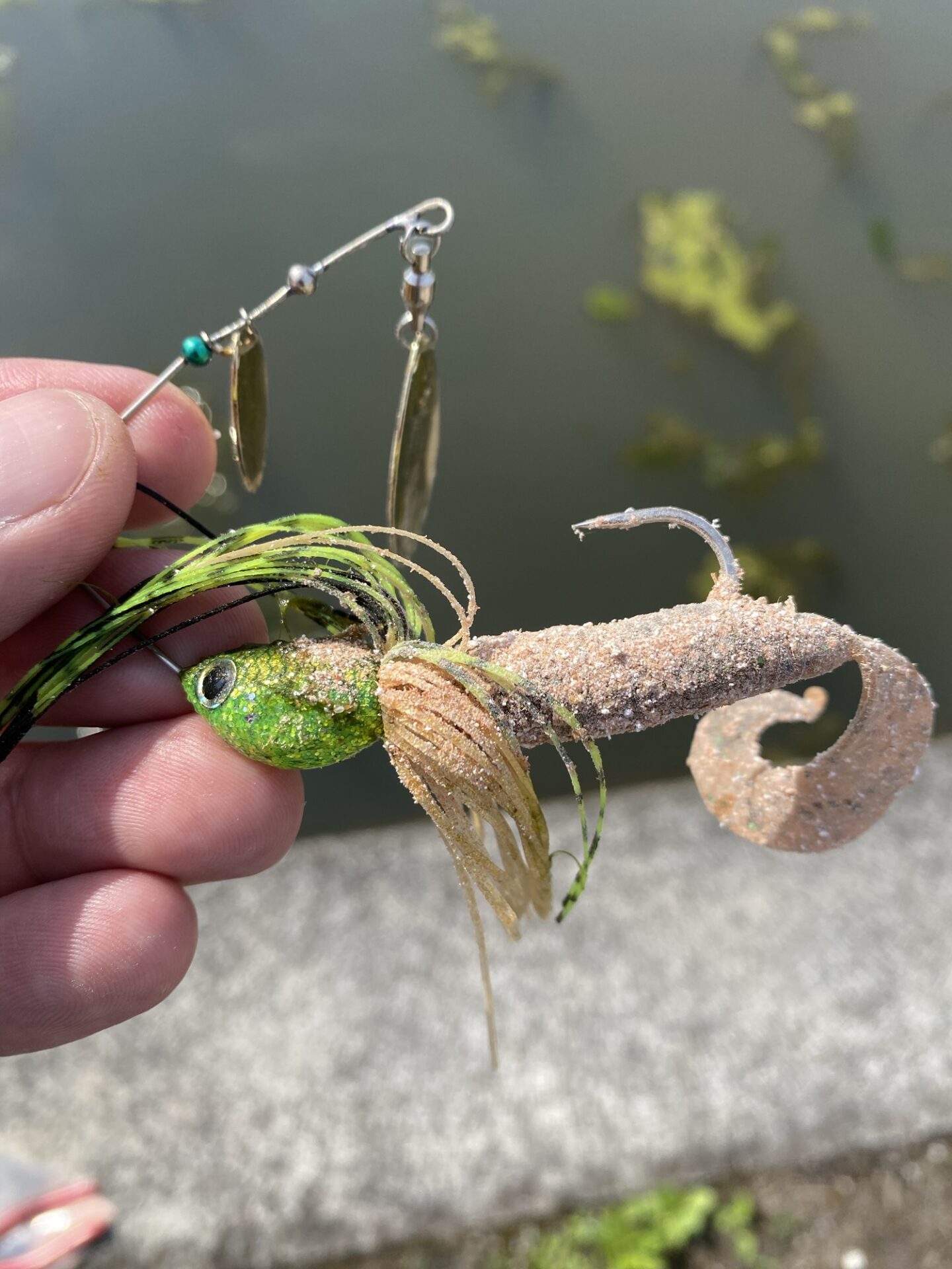 スピナーベイトにワームを付けガルプ粉をまぶしたナマズ用ルアー