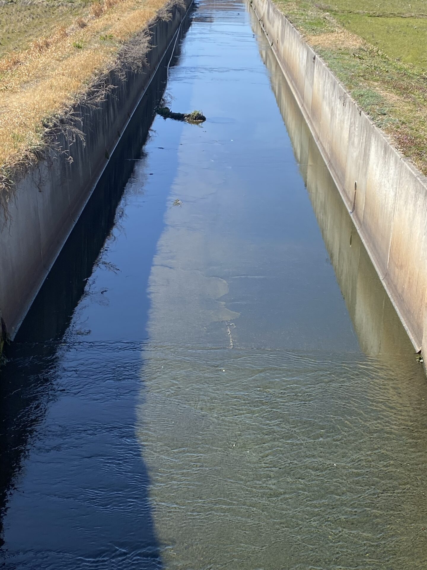 ナマズを狙った細い用水路
