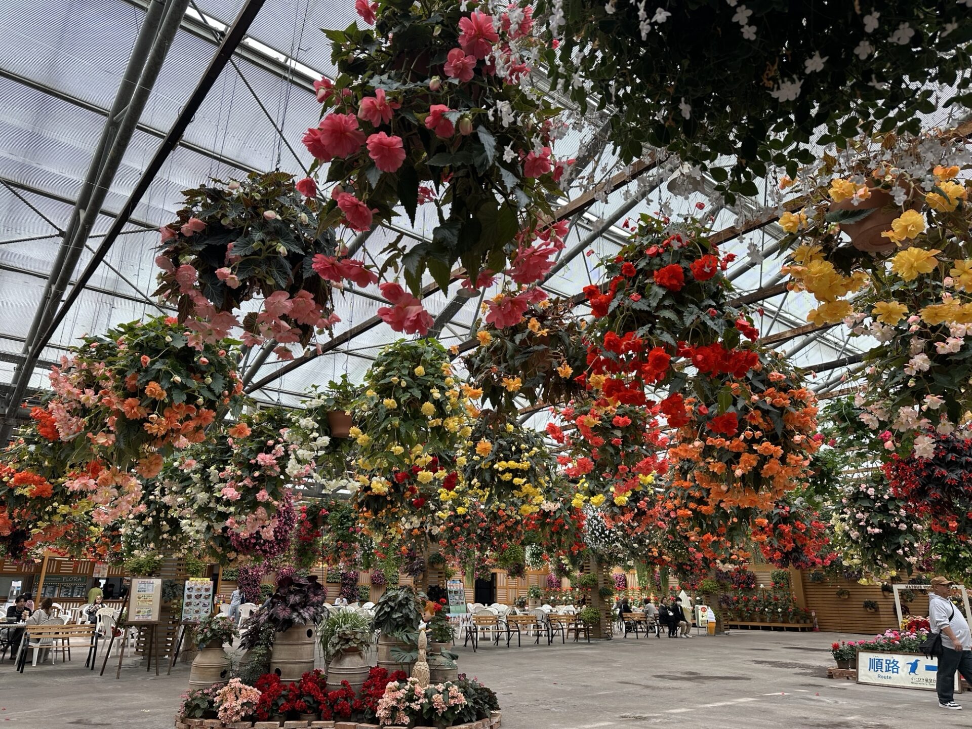 松江フォーゲルパークの花が咲く巨大温室