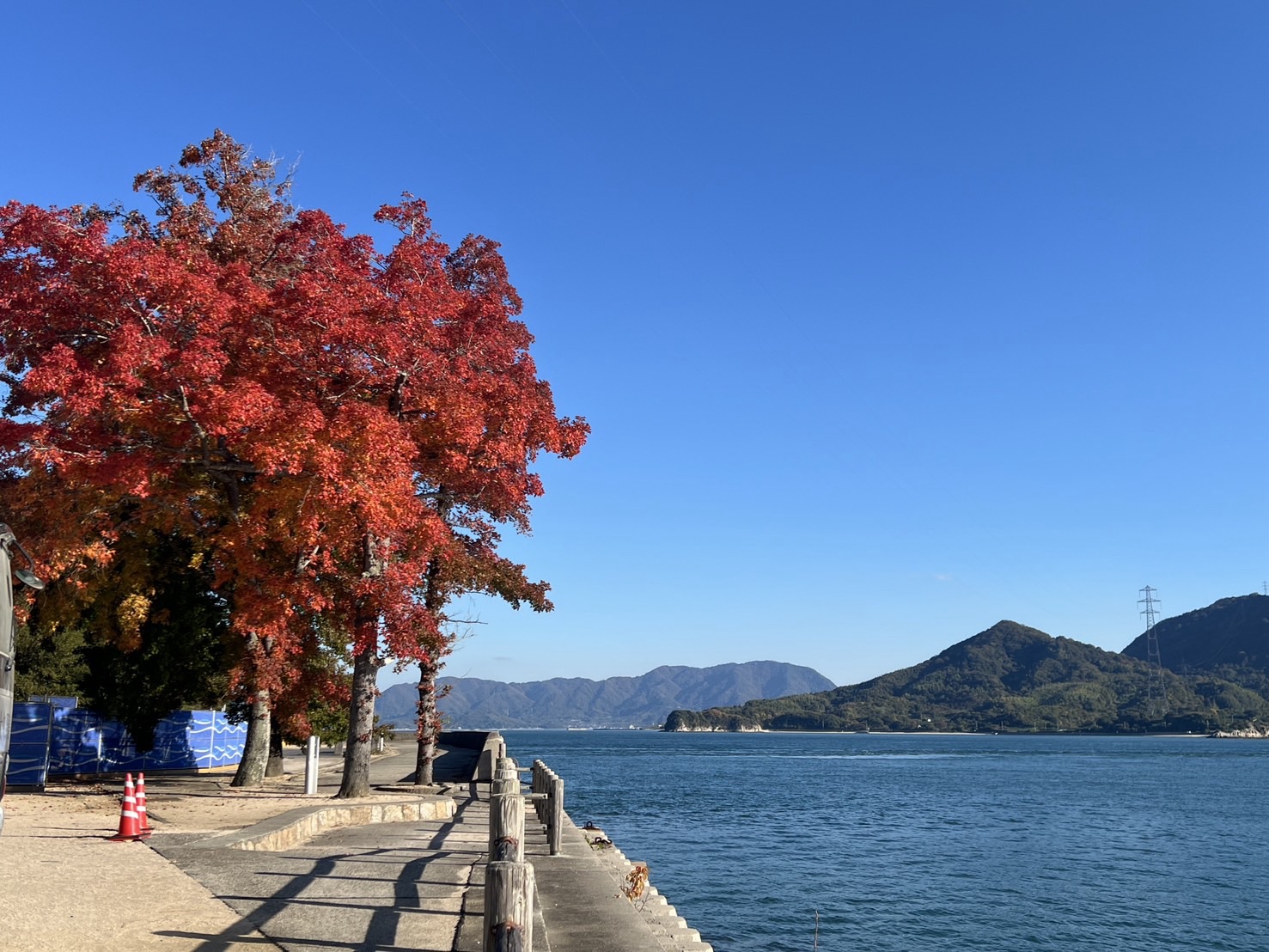 大久野島の青い海と赤く色づいた木