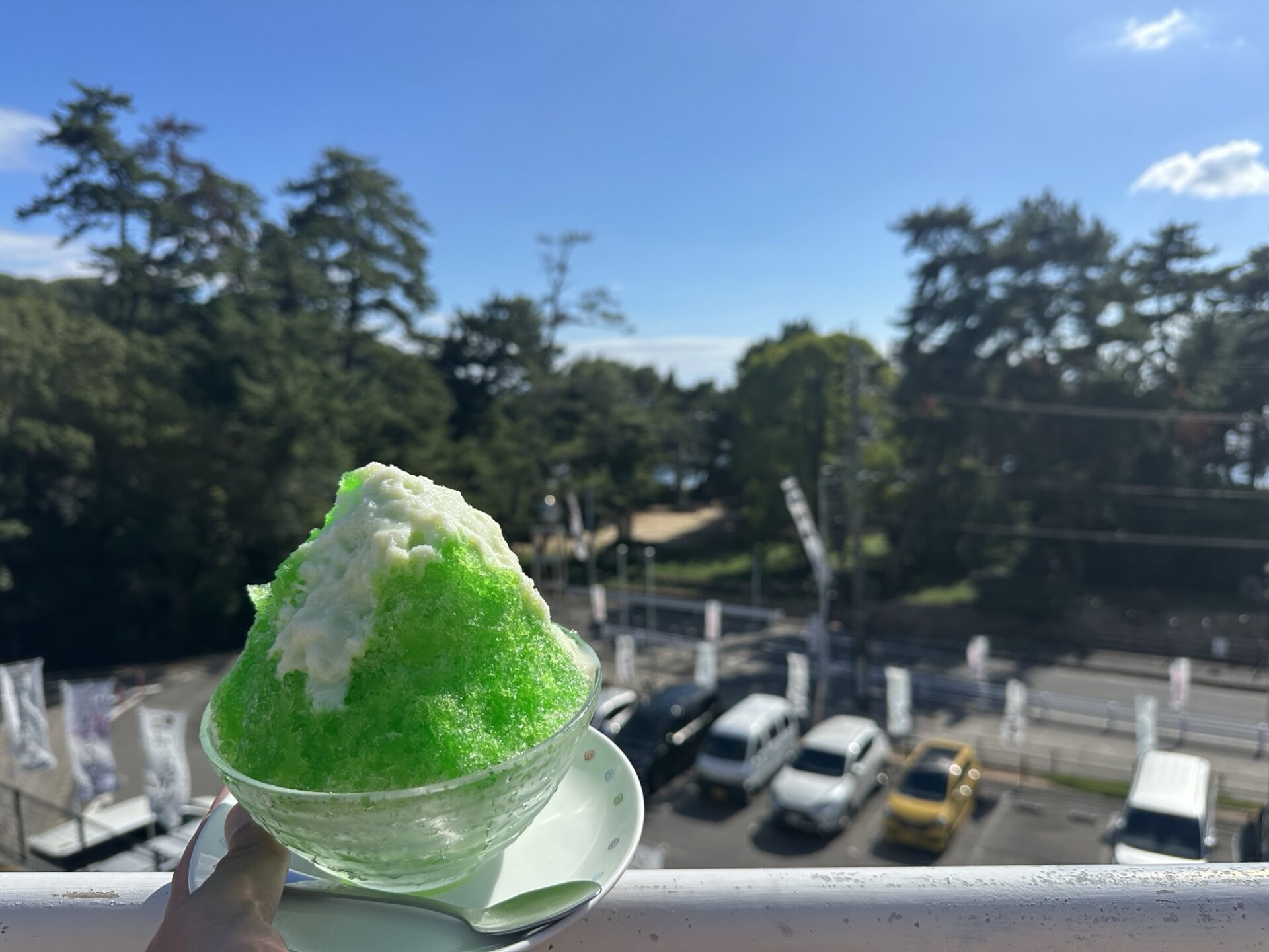 くらはし桂浜温泉館で食べたかき氷