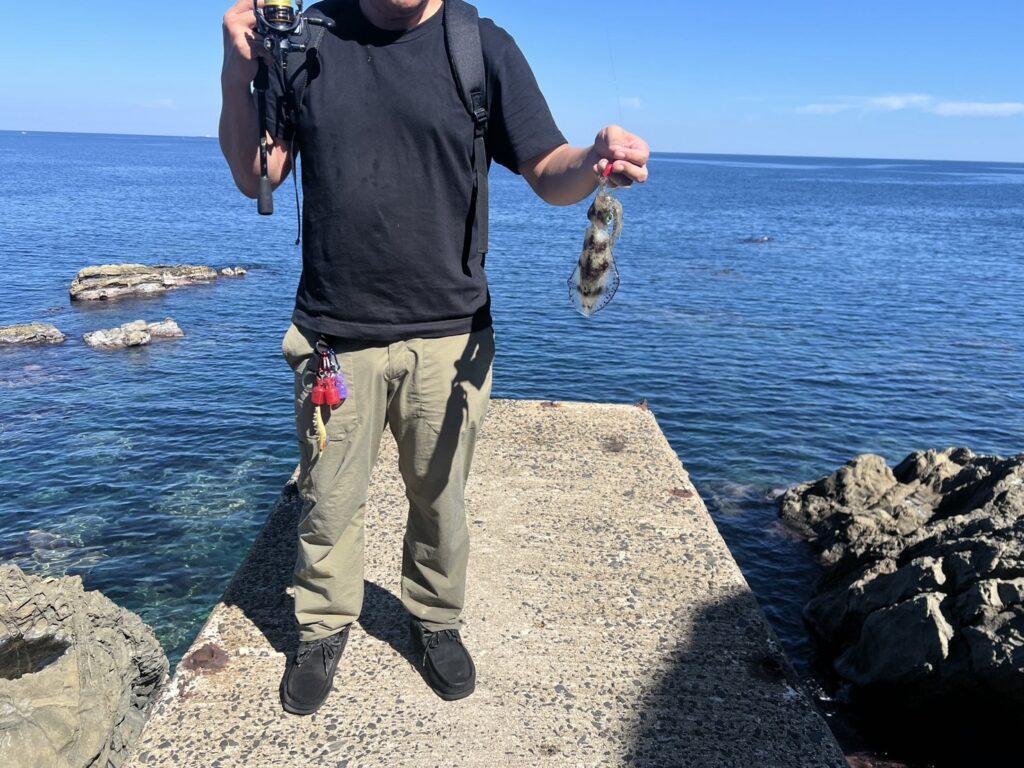 小伊津で釣り上げたアオリイカと釣り道具