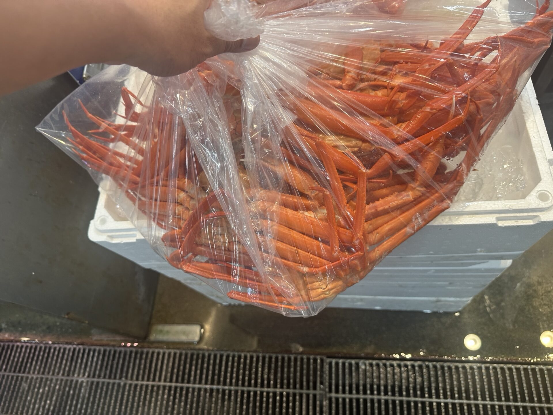 滝浜水産で購入したベニズワイガニが袋いっぱいに入った様子